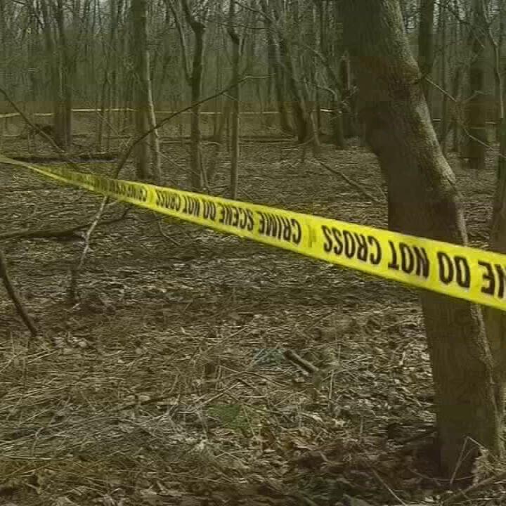 Man arrested in connection with Delphi murder case